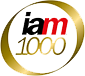 iam 1000